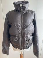 Eddy’s jackets, donsjas, maat XL, Maat 42/44 (L), Ophalen of Verzenden, Bruin, Zo goed als nieuw
