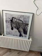 Schilder zebra, Ophalen, 30 tot 80 cm, Cv-ketel of Combi-ketel, Minder dan 60 cm