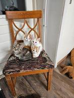 Kittens, Meerdere dieren, 0 tot 2 jaar