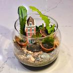 New Homemade terrarium, Ophalen, Minder dan 100 cm