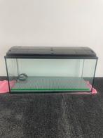 Aquarium  l 100x  b  40x   H  50 cm, Dieren en Toebehoren, Vissen | Aquaria en Toebehoren, Ophalen of Verzenden, Zo goed als nieuw
