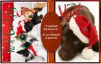 10 stuks Kerstkaarten - 10x15 cm - met enveloppen - Puppies, Verzenden, Nieuw