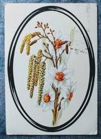 Kaart: Hendrik Pierson Vereniging 1970 [5134]  [VeAnAn], Ophalen of Verzenden, 1960 tot 1980, Gelopen, Natuur