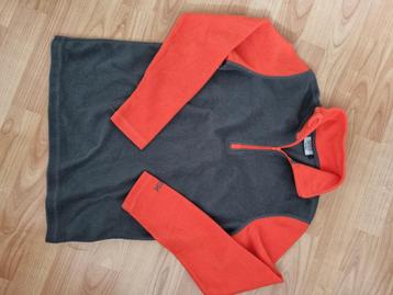 Skipullies diverse maten 158/164/176 en kleuren  beschikbaar voor biedingen