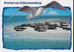 W18 gelopen ansichtkaart groeten van Schiermonnikoog, Verzamelen, Ansichtkaarten | Nederland, Ophalen of Verzenden, 1980 tot heden