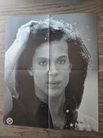 Grote 4xA4 Popfoto Poster van PRINCE !!, Ophalen of Verzenden, Poster, Artwork of Schilderij