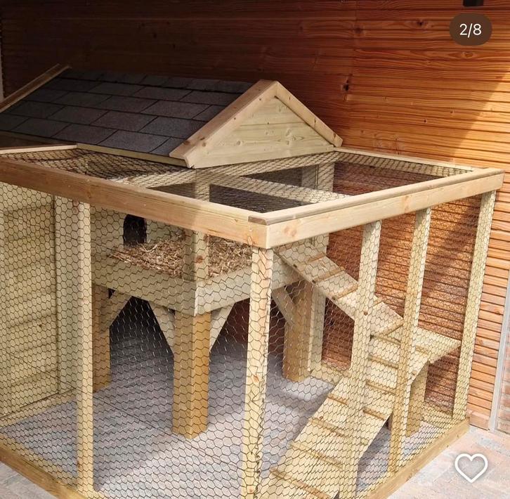 Konijnen kooi groot, Dieren en Toebehoren, Konijnen, Middelgroot, Vrouwelijk, 0 tot 2 jaar