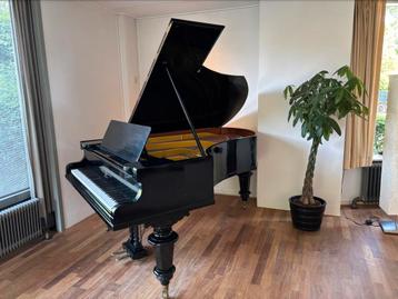 Bechstein model B/C vleugel (203 cm)  (taxatie: 11.500 euro) beschikbaar voor biedingen