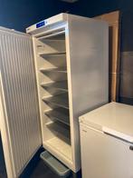 Liefhebber vrieskast, Huis en Inrichting, Ophalen, Gebruikt
