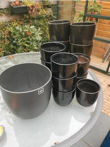 Zwarte bloempotten  beschikbaar voor biedingen
