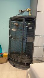 Muisparkiet (pop) met kooi, Dieren en Toebehoren