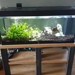 Aquarium met onderstel,  inclusief lichtbak, Ophalen, Gebruikt