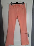 Broek Florez ( Flair ) Kleur : Oranje maat : 40, Kleding | Dames, Maat 38/40 (M), Nieuw, Oranje, Ophalen of Verzenden