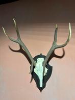 "HENDRICKX "  Herten Gewei op Hout., Ophalen, Gebruikt, Hert, Gewei of Kop