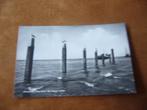 AMELAND  >  VEERDAM BIJ HOOG WATER, Verzenden, 1940 tot 1960, Gelopen, Waddeneilanden