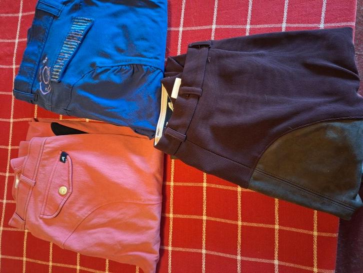 Diverse rijkleding, Dieren en Toebehoren, Paardrijkleding, Gebruikt, Dames, Bovenkleding, Overige soorten, Ophalen of Verzenden