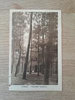 ARNHEM. BELVEDÈRE SONSBEEK. ANSICHT., Ophalen of Verzenden, 1920 tot 1940, Gelopen, Gelderland