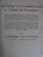 De Heilige Voorzienigheid Gods in 't Beleid der Huwelijken, Ophalen of Verzenden, Zo goed als nieuw, Lodewijk van Renesse, Christendom | Protestants