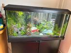 Juwel primo 110 met rio kast, Dieren en Toebehoren, Vissen | Aquaria en Toebehoren, Ophalen, Zo goed als nieuw, Leeg aquarium