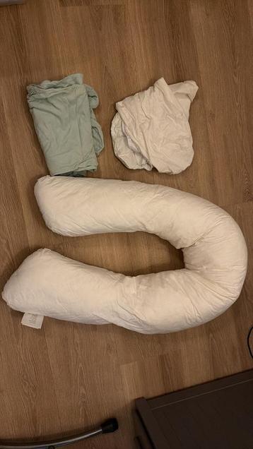 Groot Voedingskussen met 2 Hoezen beschikbaar voor biedingen