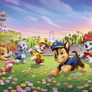 Paw Patrol vlies behang 375x270 cm - ook op maat 16,95 p/m2 beschikbaar voor biedingen