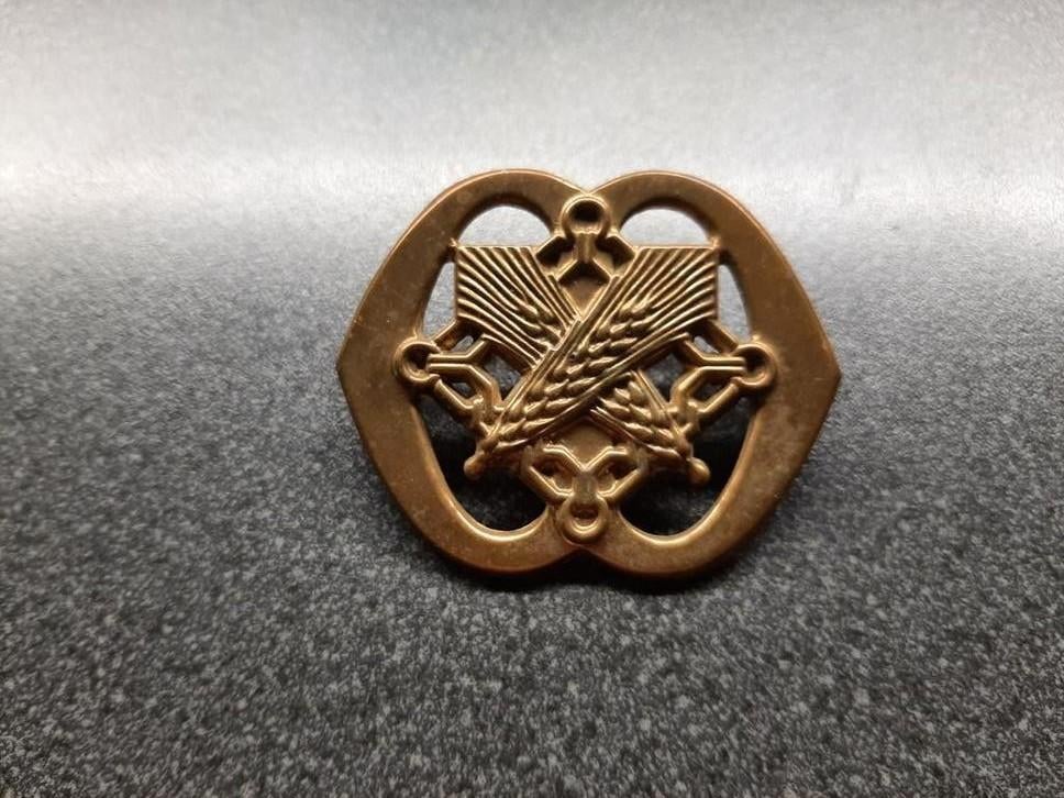 Intendance  - ouder Baretembleem met directe oogjes  KL, Verzamelen, Ophalen of Verzenden, Landmacht, Nederland, Embleem of Badge