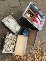 Grote partij schelpen, Ophalen, Gebruikt