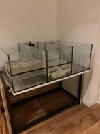 Schildpadden bak/aquarium/terrarium met filter en onderstel, Dieren en Toebehoren, Reptielen en Amfibieën | Toebehoren, Gebruikt