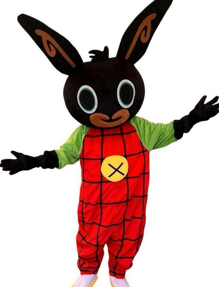 Bumba, Mario, Bing, Spiderman ect op verjaardagsfeestje?, Kinderen en Baby's, Carnavalskleding en Verkleedspullen, Nieuw, Jongen of Meisje