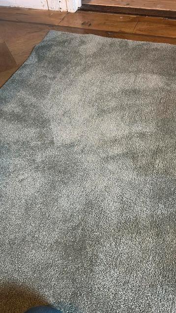 Groen laagpolig vloerkleed beschikbaar voor biedingen