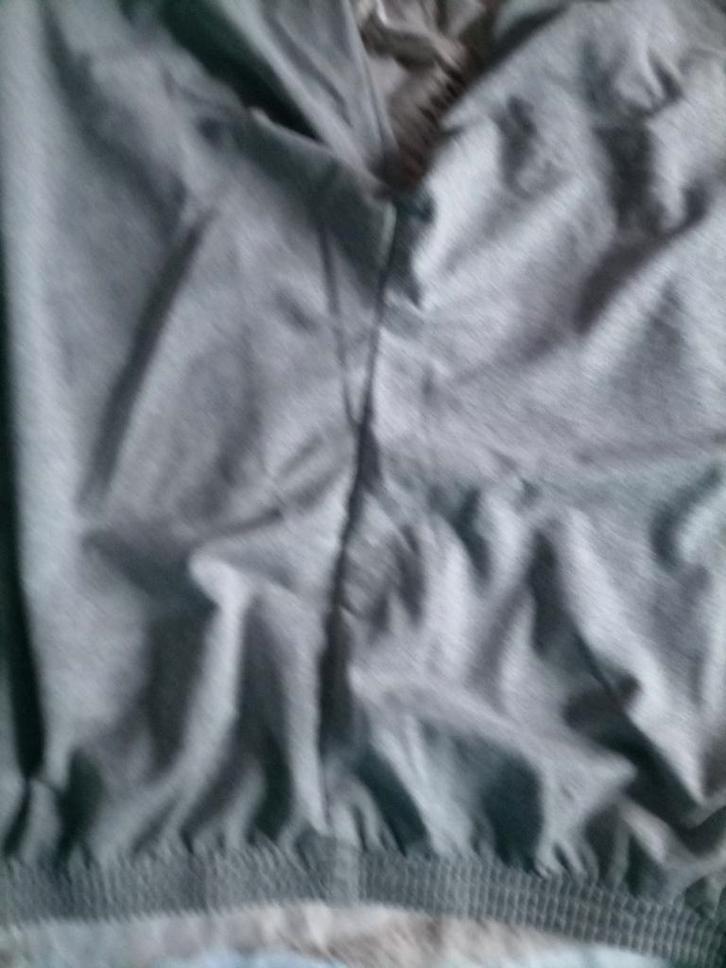 Grijze 3/4 broek.  Maat 56., Kleding | Dames, Grote Maten, Nieuw, Broek of Spijkerbroek, Grijs, Ophalen of Verzenden