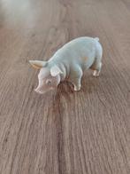 EEN BIGGETJE, Ophalen of Verzenden, Zo goed als nieuw, Boerderijdier, Opgezet dier