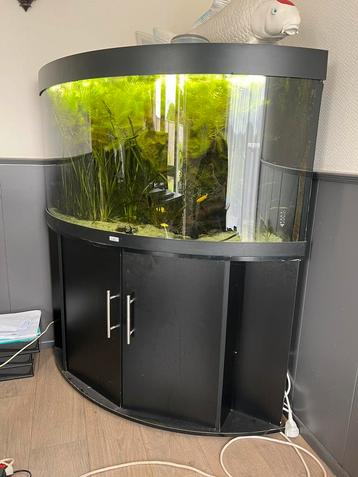 JUWEL TRIGION 350 liter zwart beschikbaar voor biedingen