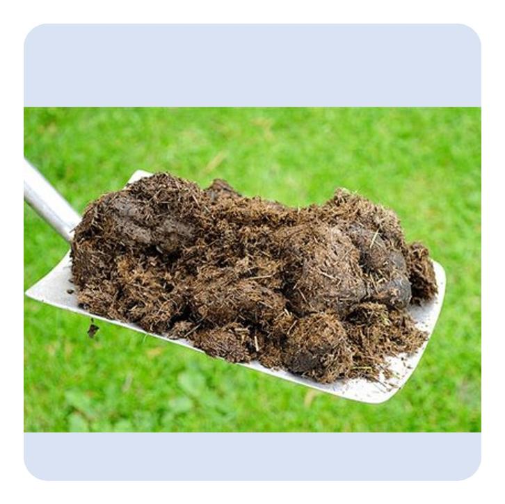 pure paardenmest compost, Tuin en Terras, Aarde en Mest, Compost, Ophalen