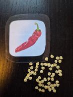 Paprika - zie omschrijving, Verzenden, Voorjaar, Volle zon, Zaad