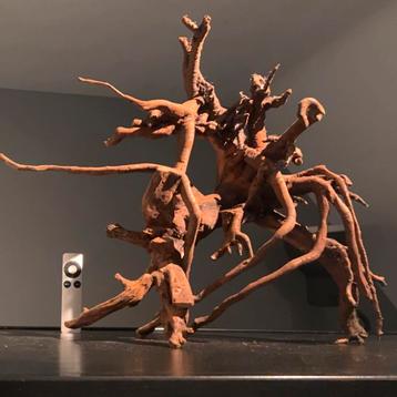 Uniek stuk Wortelhout / Spiderwood, Hout Decoratie beschikbaar voor biedingen