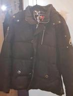 Heren Orgınele Merk Jas maat L, Ophalen, Maat 52/54 (L), Zwart, Moose knuckles