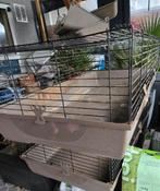 3 grote hokken voor konijn,cavia, Ophalen, Vee