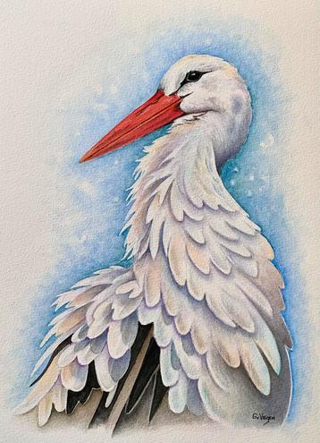 Aquarel Ooievaar beschikbaar voor biedingen