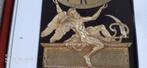 gezocht ornament, Ophalen of Verzenden