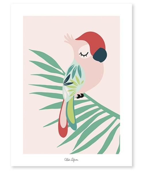 Kinderposter Muurposter Papegaai Roze Lilipinso, Kinderen en Baby's, Kinderkamer | Inrichting en Decoratie, Nieuw, Wanddecoratie