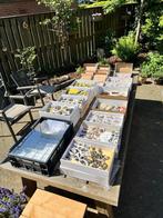 Zomer opruiming 2 , 21 dozen !!!, Ophalen of Verzenden, Mineraal