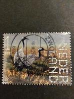 3904 kraanvogels 2021 beleef de natuur dwingelderveld, Ophalen of Verzenden