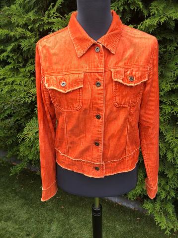 Oranje rib jasje / ‘spijkerjack’  beschikbaar voor biedingen
