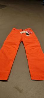 Nieuwe skibroek meisjes maat 140, Kleding | Dames, Wintersportkleding, Nieuw, Protest, Maat 34 (XS) of kleiner, Ophalen