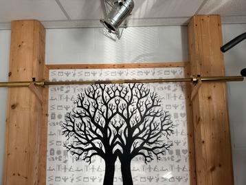 ATX Golden Power Bar - Deadlift & Squats beschikbaar voor biedingen