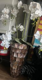 Mooie grote orgidee plant in schelpenvaas, Ophalen, Zo goed als nieuw
