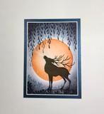 Lavinia kaarten, zie tekst, Hobby en Vrije tijd, Ophalen of Verzenden, Overige thema's