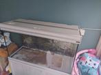 Aquarium, Dieren en Toebehoren, Vissen | Aquaria en Toebehoren, Ophalen, Zo goed als nieuw, Leeg aquarium