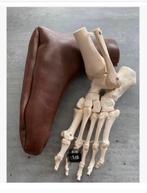 Kunststof beenderen voet en enkel in bruine tas, fysio e.d., Ophalen of Verzenden